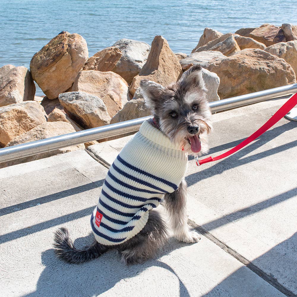 Louie Living Stripe Cardigan (Navy/White) -XL